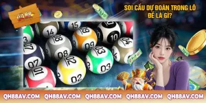 soi cau